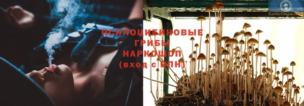 бошки Верхний Тагил