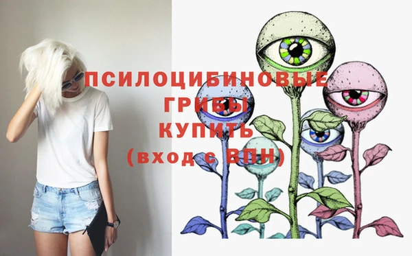 бошки Верхний Тагил