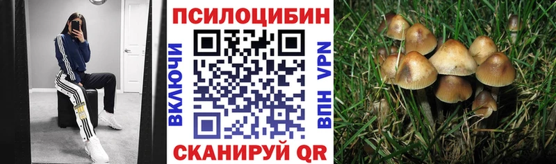 Псилоцибиновые грибы прущие грибы Купить Озёры